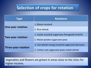 B.sc agri i paam unit 2 crop rotation | PPTX