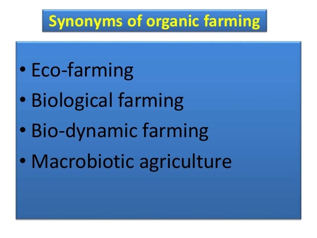 Organic Food Symnonyms Organic Food Symnonyms