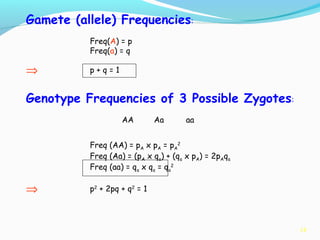 14
Gamete (allele) Frequencies:
Freq(A) = p
Freq(a) = q
⇒ p + q = 1
Genotype Frequencies of 3 Possible Zygotes:
AA Aa aa
Freq (AA) = pA x pA = pA
2
Freq (Aa) = (pA x qa) + (qa x pA) = 2pAqa
Freq (aa) = qa x qa = qa
2
⇒ p2
+ 2pq + q2
= 1
 