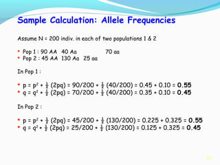 16
Sample Calculation: Allele Frequencies
Assume N = 200 indiv. in each of two populations 1 & 2
 Pop 1 : 90 AA 40 Aa 70 aa
 Pop 2 : 45 AA 130 Aa 25 aa
In Pop 1 :
 p = p2
+ ½ (2pq) = 90/200 + ½ (40/200) = 0.45 + 0.10 = 0.55
 q = q2
+ ½ (2pq) = 70/200 + ½ (40/200) = 0.35 + 0.10 = 0.45
In Pop 2 :
 p = p2
+ ½ (2pq) = 45/200 + ½ (130/200) = 0.225 + 0.325 = 0.55
 q = q2
+ ½ (2pq) = 25/200 + ½ (130/200) = 0.125 + 0.325 = 0.45
 