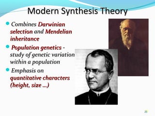 21
Modern Synthesis TheoryModern Synthesis Theory
CombinesCombines DarwinianDarwinian
selectionselection andand MendelianMendelian
inheritanceinheritance
Population geneticsPopulation genetics --
study of genetic variationstudy of genetic variation
within a populationwithin a population
Emphasis onEmphasis on
quantitative charactersquantitative characters
(height, size …)(height, size …)
21
 
