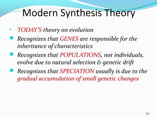 23
Modern Synthesis Theory
• TODAY’S theory on evolution
 Recognizes that GENES are responsible for the
inheritance of characteristics
 Recognizes that POPULATIONS, not individuals,
evolve due to natural selection & genetic drift
 Recognizes that SPECIATION usually is due to the
gradual accumulation of small genetic changes
23
 