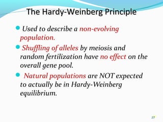 27
The Hardy-Weinberg PrincipleThe Hardy-Weinberg Principle
Used to describe a non-evolving
population.
Shuffling of alleles by meiosis and
random fertilization have no effect on the
overall gene pool.
 Natural populations are NOT expected
to actually be in Hardy-Weinberg
equilibrium.
27
 
