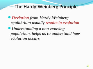 28
The Hardy-Weinberg PrincipleThe Hardy-Weinberg Principle
Deviation from Hardy-Weinberg
equilibrium usually results in evolution
Understanding a non-evolving
population, helps us to understand how
evolution occurs
28                       
 
