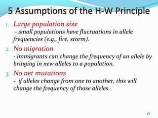 29
5 Assumptions of the H-W Principle5 Assumptions of the H-W Principle
1. Large population size
- small populations have fluctuations in allele
frequencies (e.g., fire, storm).
2. No migration
- immigrants can change the frequency of an allele by
bringing in new alleles to a population.
3. No net mutations
- if alleles change from one to another, this will
change the frequency of those alleles
29
 