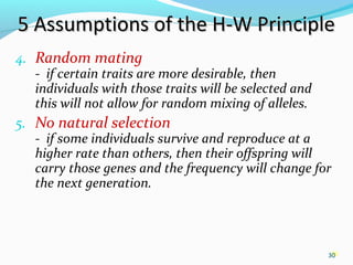 30
5 Assumptions of the H-W Principle5 Assumptions of the H-W Principle
4. Random mating
- if certain traits are more desirable, then
individuals with those traits will be selected and
this will not allow for random mixing of alleles.
5. No natural selection
- if some individuals survive and reproduce at a
higher rate than others, then their offspring will
carry those genes and the frequency will change for
the next generation.
30
 