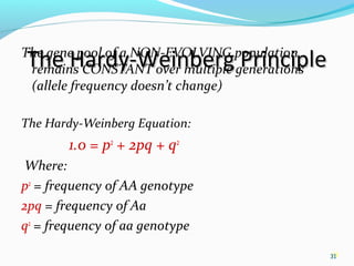 31
The Hardy-Weinberg PrincipleThe Hardy-Weinberg PrincipleThe gene pool of a NON-EVOLVING population
remains CONSTANT over multiple generations
(allele frequency doesn’t change)
The Hardy-Weinberg Equation:
               1.0 = p2
+ 2pq + q2
 Where:
p2
= frequency of AA genotype
2pq = frequency of Aa
q2
= frequency of aa genotype
31
 