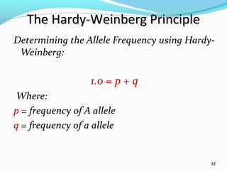 32
The Hardy-Weinberg PrincipleThe Hardy-Weinberg Principle
Determining the Allele Frequency using Hardy-
Weinberg:
              
1.0 = p + q
 Where:
p = frequency of A allele
q = frequency of a allele
32
 