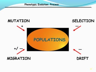 43
MUTATION SELECTION
DRIFTMIGRATION
POPULATIONS
Phenotypic Evolution: Process
+
+/ —
—
—
 