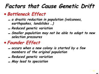 49
Factors that Cause Genetic DriftFactors that Cause Genetic Drift
•Bottleneck Effect
-a drastic reduction in population (volcanoes,
earthquakes, landslides …)
-Reduced genetic variation
-Smaller population may not be able to adapt to new
selection pressures
•Founder Effect
-occurs when a new colony is started by a few
members of the original population
-Reduced genetic variation
-May lead to speciation
 