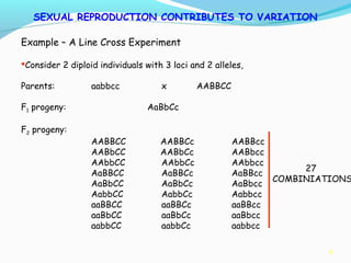 6
SEXUAL REPRODUCTION CONTRIBUTES TO VARIATION
Example – A Line Cross Experiment
Consider 2 diploid individuals with 3 loci and 2 alleles,
Parents: aabbcc x AABBCC
F1 progeny: AaBbCc
F2 progeny:
AABBCC AABBCc AABBcc
AABbCC AABbCc AABbcc
AAbbCC AAbbCc AAbbcc
AaBBCC AaBBCc AaBBcc
AaBbCC AaBbCc AaBbcc
AabbCC AabbCc Aabbcc
aaBBCC aaBBCc aaBBcc
aaBbCC aaBbCc aaBbcc
aabbCC aabbCc aabbcc
27
COMBINIATIONS
 