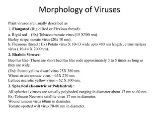 Morphology of Viruses
Plant viruses are usually described as
1. Elongated (Rigid Rod or Flexious thread):
a. Rigid rod – (Ex) Tobacco mosaic virus (15 X300 nm)
Barley stripe mosaic virus (20x 10 nm).
b. Flexuous thread ( Ex) Potato virus X 10-13 wide upto 480 nm length , citrus tristeza
virus ( 10-14 X 2000nm).
2. Rhabdo Viruses:
Bacillus like- These are short bacillus like rods approximately 3 to 5 times as long as
they are wide.
(Ex): Potato yellow dwarf virus 75X 380 nm.
Wheat striate mosaic virus – 65X 270 nm.
Lettuce necrotic yellow virus – 52 X 300 nm.
3. Spherical (Isometric or Polyhedral) :
All spherical viruses are actually polyhedral ranging in diameter about 17 nm to 60 nm.
Ex: Tobacco Necrosis satellite virus 17 nm in diameter.
Wound tumour virus 60nm in diameter.
Tomato spotted wilt virus 70-80 nm in diameter.
 