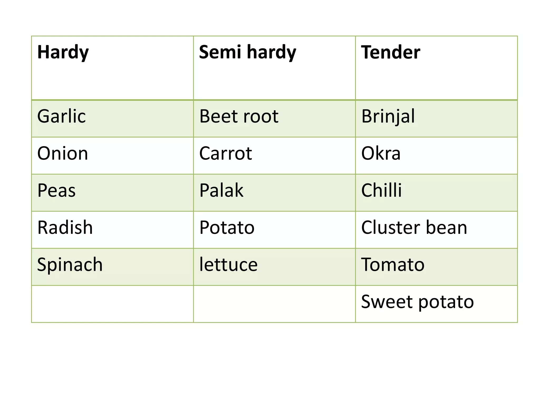 Hardy Semi hardy Tender
Garlic Beet root Brinjal
Onion Carrot Okra
Peas Palak Chilli
Radish Potato Cluster bean
Spinach lettuce Tomato
Sweet potato
 