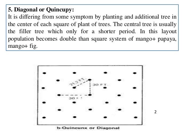 Acnh orchard ideas picture