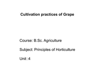 Course: B.Sc. Agriculture
Subject: Principles of Horticulture
Unit :4
Cultivation practices of Grape
 