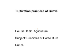 Course: B.Sc. Agriculture
Subject: Principles of Horticulture
Unit :4
Cultivation practices of Guava
 