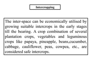 Intercropping
The inter-space can be economically utilised by
growing suitable intercrops in the early stages
till the bea...