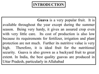 INTRODUCTION
Guava is a very popular fruit. It is
available throughout the year except during the summer
season. Being ver...