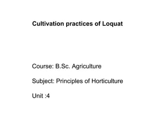 Course: B.Sc. Agriculture
Subject: Principles of Horticulture
Unit :4
Cultivation practices of Loquat
 