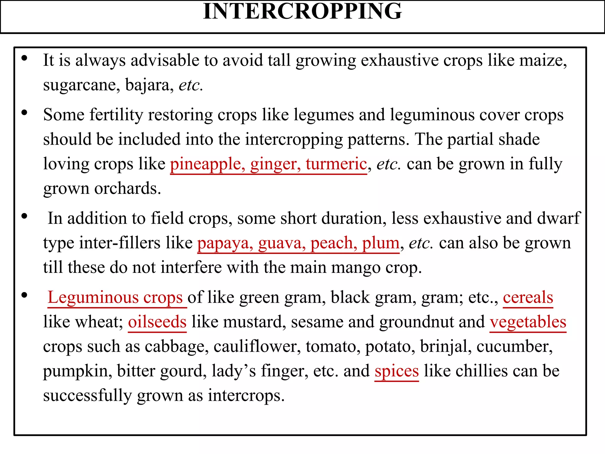 INTERCROPPING
• It is always advisable to avoid tall growing exhaustive crops like maize,
sugarcane, bajara, etc.
• Some fertility restoring crops like legumes and leguminous cover crops
should be included into the intercropping patterns. The partial shade
loving crops like pineapple, ginger, turmeric, etc. can be grown in fully
grown orchards.
• In addition to field crops, some short duration, less exhaustive and dwarf
type inter-fillers like papaya, guava, peach, plum, etc. can also be grown
till these do not interfere with the main mango crop.
• Leguminous crops of like green gram, black gram, gram; etc., cereals
like wheat; oilseeds like mustard, sesame and groundnut and vegetables
crops such as cabbage, cauliflower, tomato, potato, brinjal, cucumber,
pumpkin, bitter gourd, lady’s finger, etc. and spices like chillies can be
successfully grown as intercrops.
 
