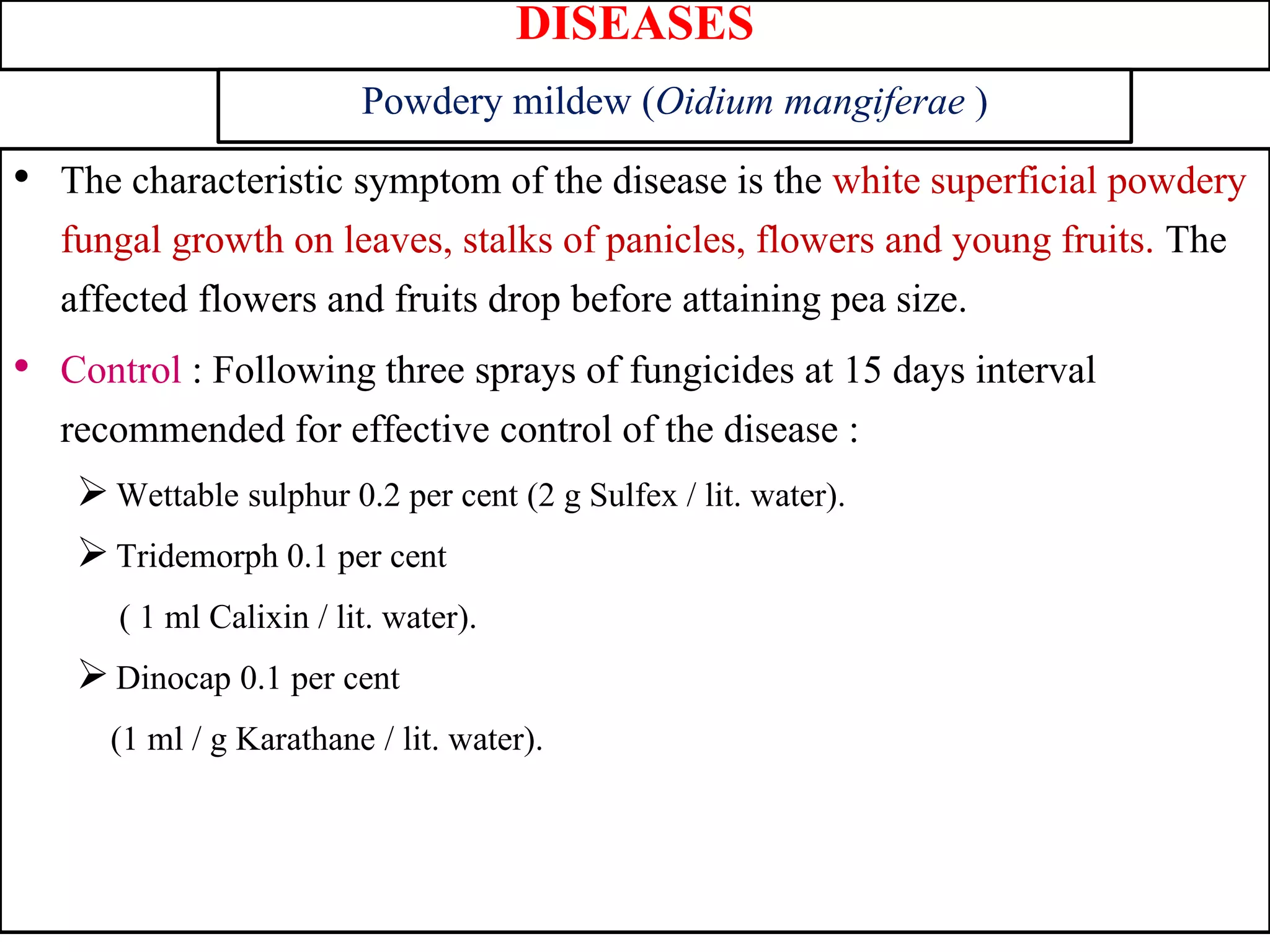 DISEASES
• The characteristic symptom of the disease is the white superficial powdery
fungal growth on leaves, stalks of panicles, flowers and young fruits. The
affected flowers and fruits drop before attaining pea size.
• Control : Following three sprays of fungicides at 15 days interval
recommended for effective control of the disease :
Wettable sulphur 0.2 per cent (2 g Sulfex / lit. water).
Tridemorph 0.1 per cent
( 1 ml Calixin / lit. water).
Dinocap 0.1 per cent
(1 ml / g Karathane / lit. water).
Powdery mildew (Oidium mangiferae )
 