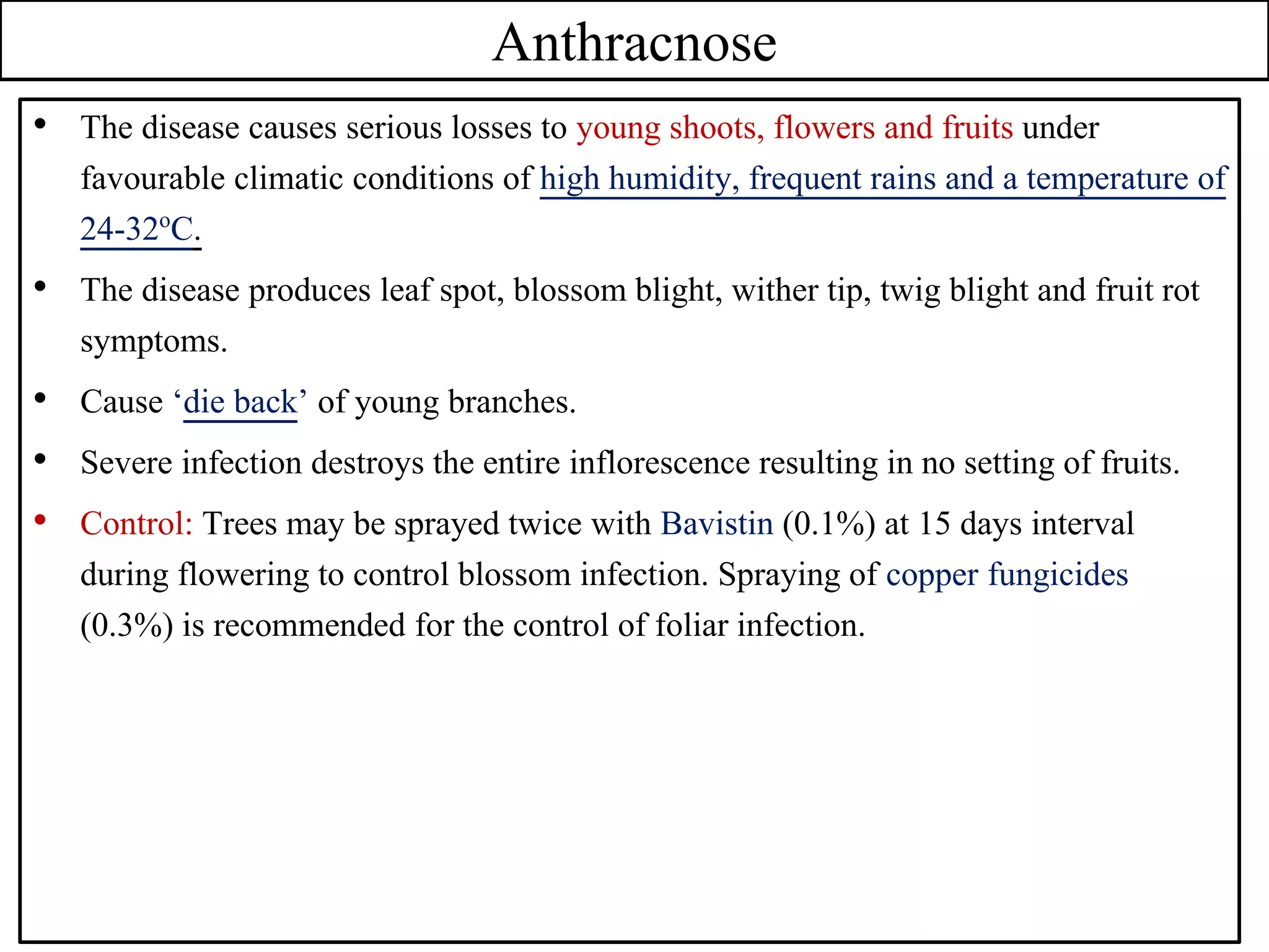 Anthracnose
• The disease causes serious losses to young shoots, flowers and fruits under
favourable climatic conditions of high humidity, frequent rains and a temperature of
24-32oC.
• The disease produces leaf spot, blossom blight, wither tip, twig blight and fruit rot
symptoms.
• Cause ‘die back’ of young branches.
• Severe infection destroys the entire inflorescence resulting in no setting of fruits.
• Control: Trees may be sprayed twice with Bavistin (0.1%) at 15 days interval
during flowering to control blossom infection. Spraying of copper fungicides
(0.3%) is recommended for the control of foliar infection.
 