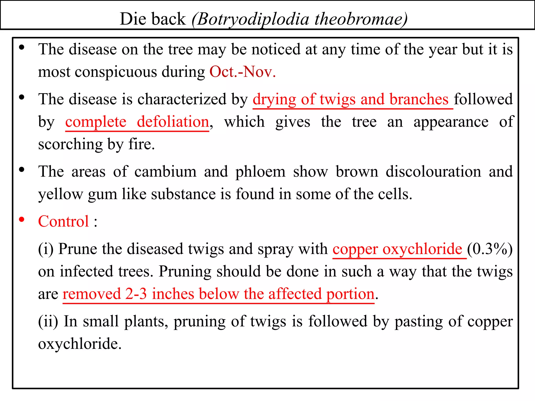 Die back (Botryodiplodia theobromae)
• The disease on the tree may be noticed at any time of the year but it is
most conspicuous during Oct.-Nov.
• The disease is characterized by drying of twigs and branches followed
by complete defoliation, which gives the tree an appearance of
scorching by fire.
• The areas of cambium and phloem show brown discolouration and
yellow gum like substance is found in some of the cells.
• Control :
(i) Prune the diseased twigs and spray with copper oxychloride (0.3%)
on infected trees. Pruning should be done in such a way that the twigs
are removed 2-3 inches below the affected portion.
(ii) In small plants, pruning of twigs is followed by pasting of copper
oxychloride.
 