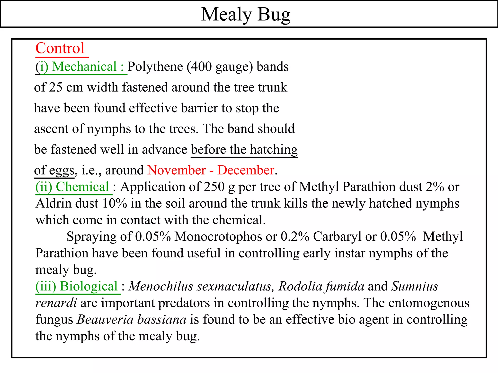 Mealy Bug
Control
(i) Mechanical : Polythene (400 gauge) bands
of 25 cm width fastened around the tree trunk
have been found effective barrier to stop the
ascent of nymphs to the trees. The band should
be fastened well in advance before the hatching
of eggs, i.e., around November - December.
(ii) Chemical : Application of 250 g per tree of Methyl Parathion dust 2% or
Aldrin dust 10% in the soil around the trunk kills the newly hatched nymphs
which come in contact with the chemical.
Spraying of 0.05% Monocrotophos or 0.2% Carbaryl or 0.05% Methyl
Parathion have been found useful in controlling early instar nymphs of the
mealy bug.
(iii) Biological : Menochilus sexmaculatus, Rodolia fumida and Sumnius
renardi are important predators in controlling the nymphs. The entomogenous
fungus Beauveria bassiana is found to be an effective bio agent in controlling
the nymphs of the mealy bug.
 