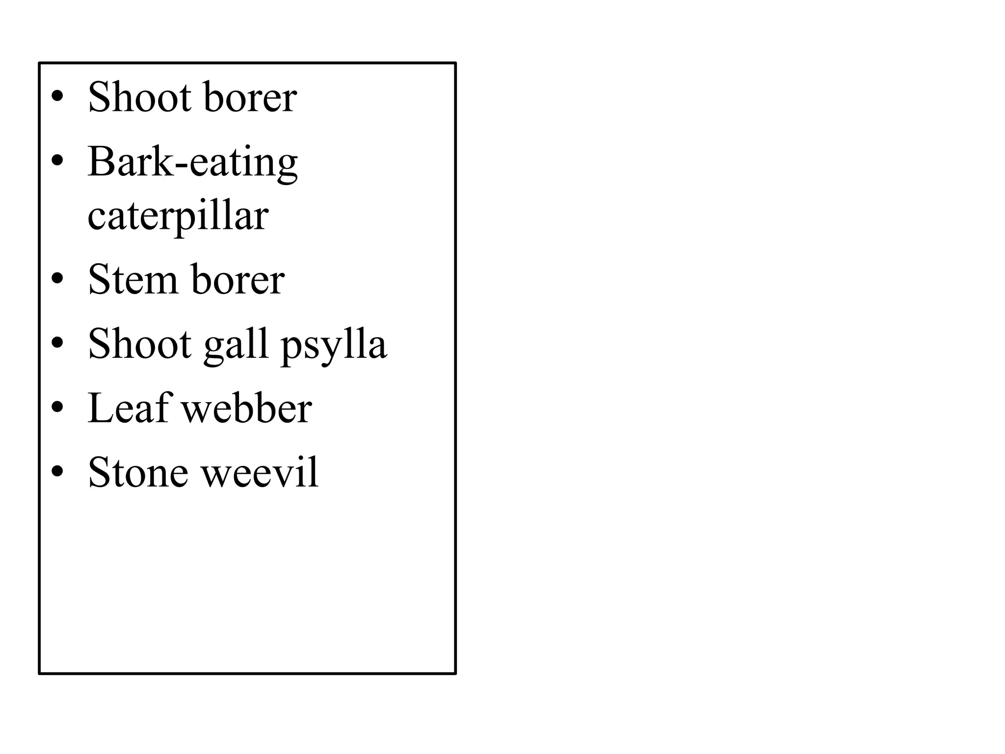 • Shoot borer
• Bark-eating
caterpillar
• Stem borer
• Shoot gall psylla
• Leaf webber
• Stone weevil
 