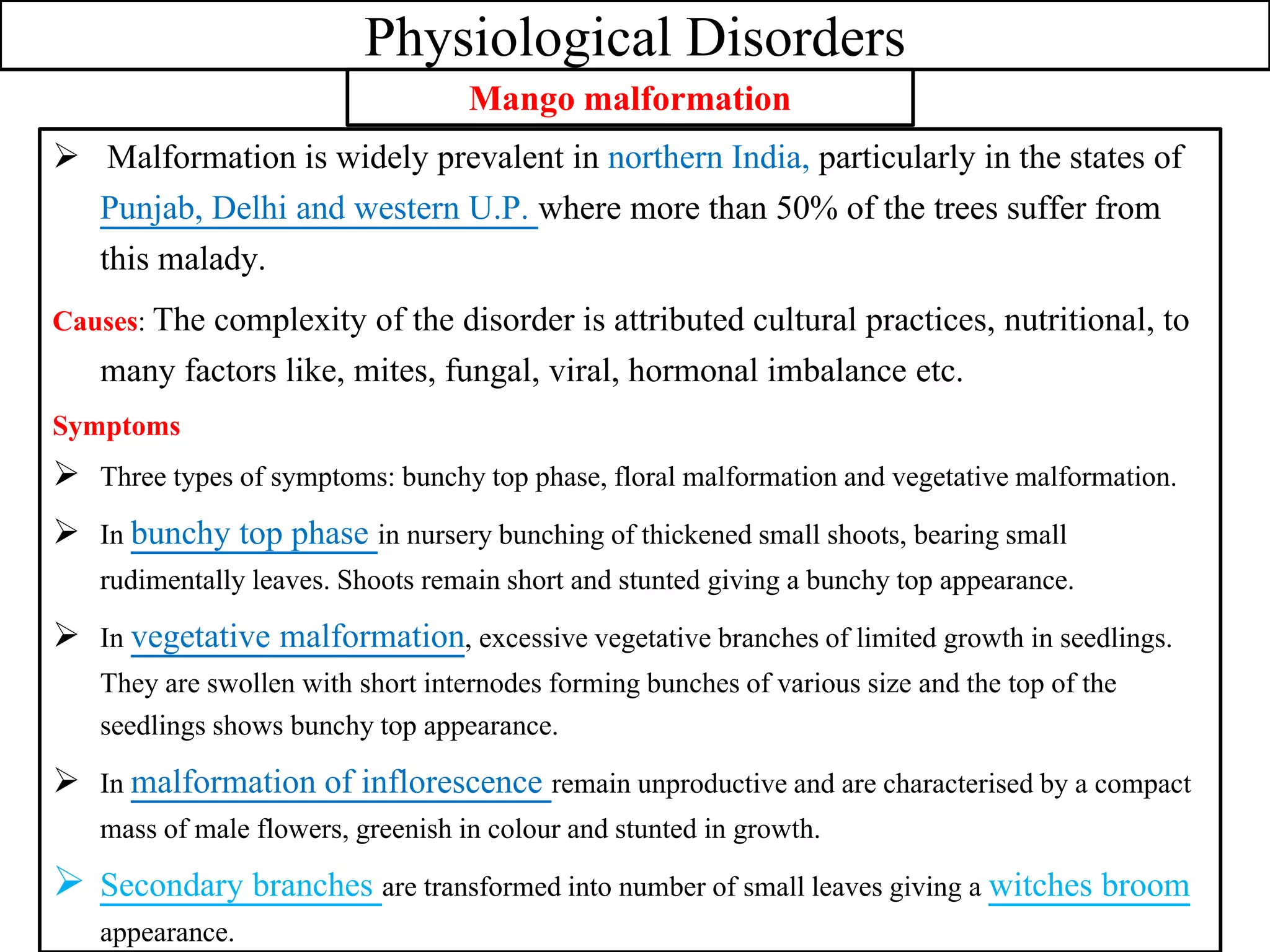 Physiological Disorders
 Malformation is widely prevalent in northern India, particularly in the states of
Punjab, Delhi and western U.P. where more than 50% of the trees suffer from
this malady.
Causes: The complexity of the disorder is attributed cultural practices, nutritional, to
many factors like, mites, fungal, viral, hormonal imbalance etc.
Symptoms
 Three types of symptoms: bunchy top phase, floral malformation and vegetative malformation.
 In bunchy top phase in nursery bunching of thickened small shoots, bearing small
rudimentally leaves. Shoots remain short and stunted giving a bunchy top appearance.
 In vegetative malformation, excessive vegetative branches of limited growth in seedlings.
They are swollen with short internodes forming bunches of various size and the top of the
seedlings shows bunchy top appearance.
 In malformation of inflorescence remain unproductive and are characterised by a compact
mass of male flowers, greenish in colour and stunted in growth.
 Secondary branches are transformed into number of small leaves giving a witches broom
appearance.
Mango malformation
 