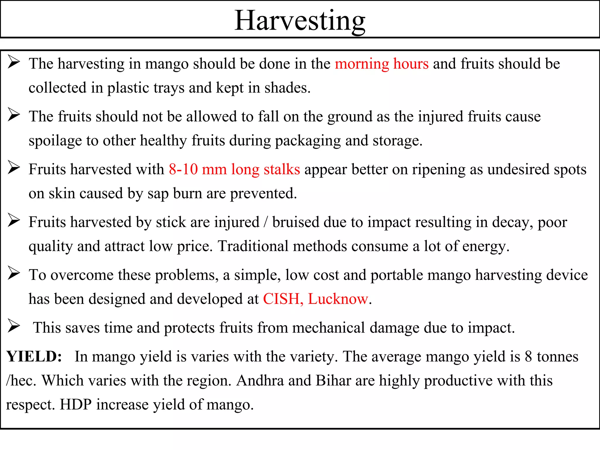 Harvesting
 The harvesting in mango should be done in the morning hours and fruits should be
collected in plastic trays and kept in shades.
 The fruits should not be allowed to fall on the ground as the injured fruits cause
spoilage to other healthy fruits during packaging and storage.
 Fruits harvested with 8-10 mm long stalks appear better on ripening as undesired spots
on skin caused by sap burn are prevented.
 Fruits harvested by stick are injured / bruised due to impact resulting in decay, poor
quality and attract low price. Traditional methods consume a lot of energy.
 To overcome these problems, a simple, low cost and portable mango harvesting device
has been designed and developed at CISH, Lucknow.
 This saves time and protects fruits from mechanical damage due to impact.
YIELD: In mango yield is varies with the variety. The average mango yield is 8 tonnes
/hec. Which varies with the region. Andhra and Bihar are highly productive with this
respect. HDP increase yield of mango.
 