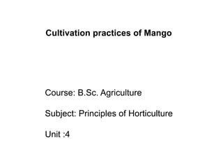 Course: B.Sc. Agriculture
Subject: Principles of Horticulture
Unit :4
Cultivation practices of Mango
 