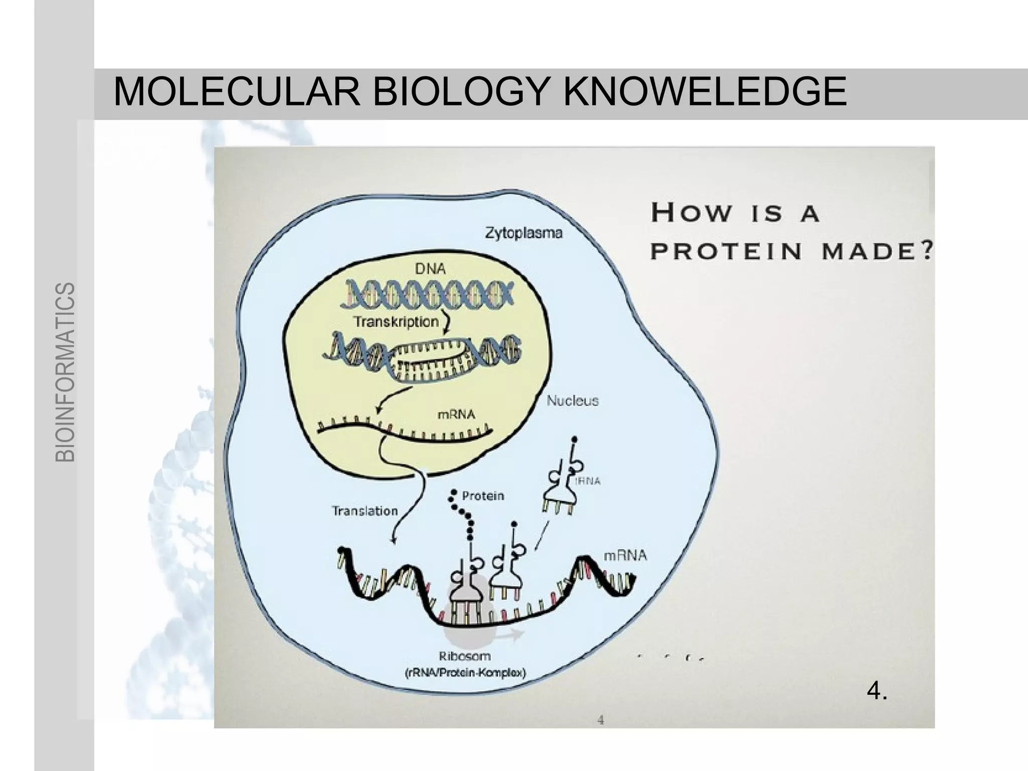 BIOINFORMATICS
MOLECULAR BIOLOGY KNOWELEDGE
4.
 