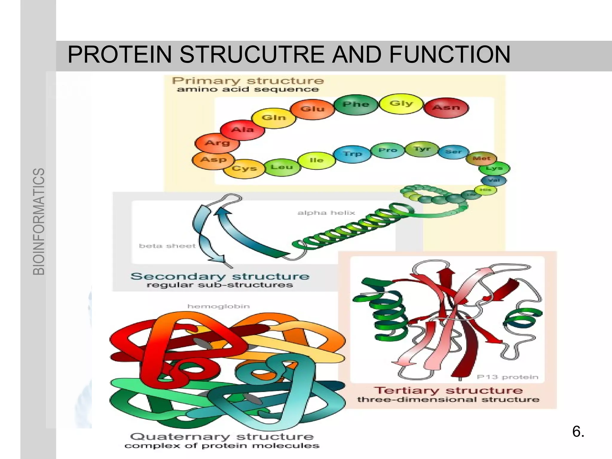 BIOINFORMATICS
PROTEIN STRUCUTRE AND FUNCTION
6.
 