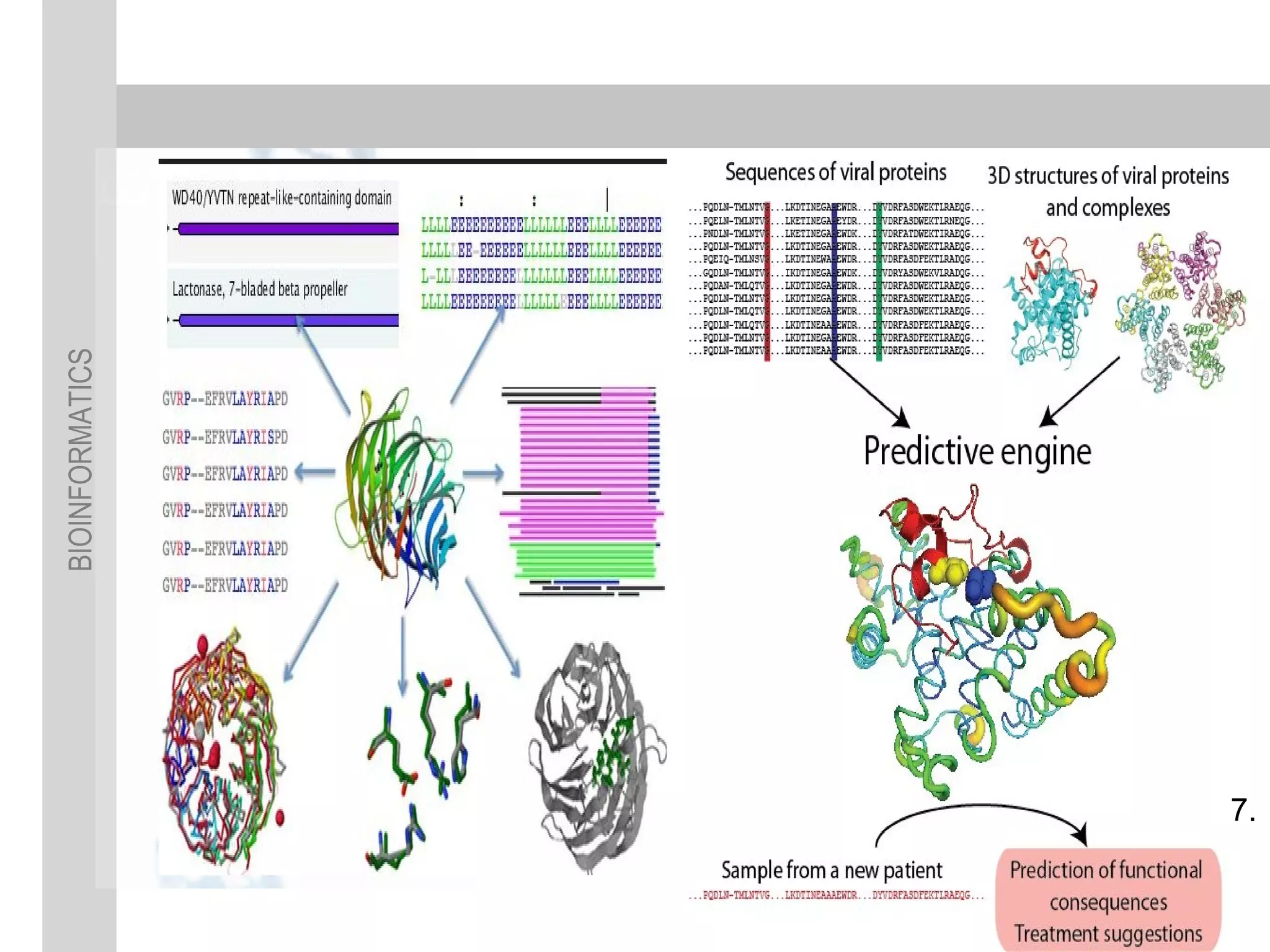 BIOINFORMATICS
7.
 