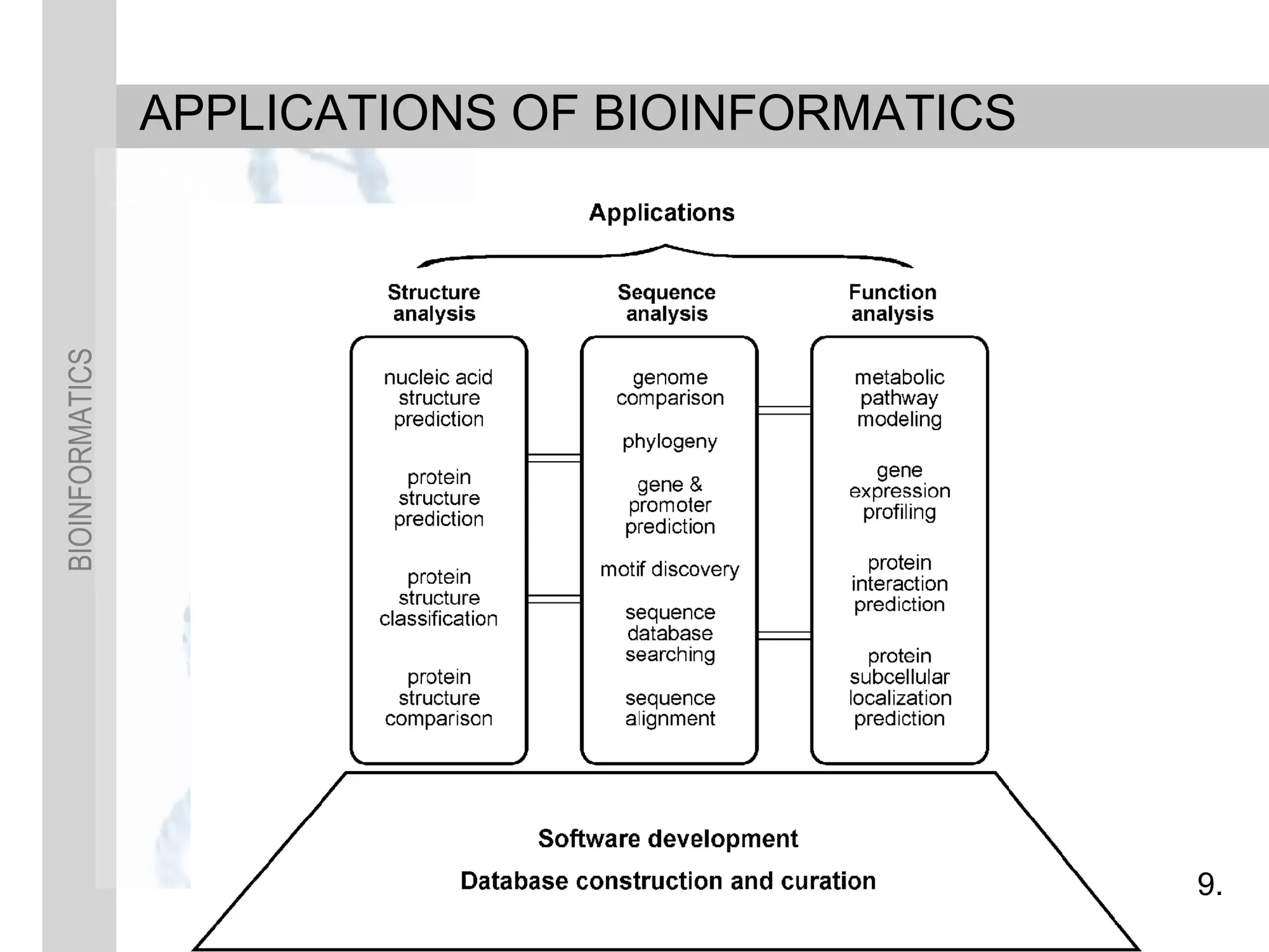 BIOINFORMATICS
APPLICATIONS OF BIOINFORMATICS
9.
 