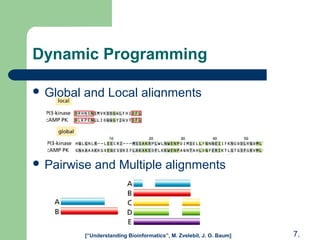 Dynamic Programming
 Global and Local alignments
 Pairwise and Multiple alignments
[“Understanding Bioinformatics”, M. Zvelebil, J. O. Baum] 7.
 