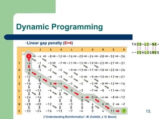 Dynamic Programming
–Linear gap penalty (E=4)
[“Understanding Bioinformatics”, M. Zvelebil, J. O. Baum]
13.
 