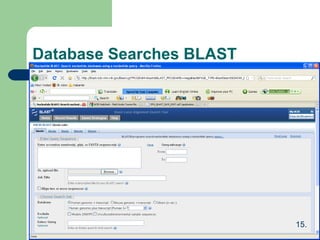 Database Searches BLAST
15.
 
