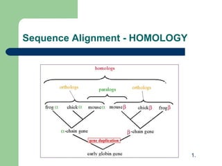 Sequence Alignment - HOMOLOGY
1.
 