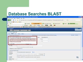 Database Searches BLAST
16.
 