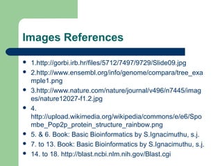 Images References
 1.http://gorbi.irb.hr/files/5712/7497/9729/Slide09.jpg
 2.http://www.ensembl.org/info/genome/compara/tree_exa
mple1.png
 3.http://www.nature.com/nature/journal/v496/n7445/imag
es/nature12027-f1.2.jpg
 4.
http://upload.wikimedia.org/wikipedia/commons/e/e6/Spo
mbe_Pop2p_protein_structure_rainbow.png
 5. & 6. Book: Basic Bioinformatics by S.Ignacimuthu, s.j.
 7. to 13. Book: Basic Bioinformatics by S.Ignacimuthu, s.j.
 14. to 18. http://blast.ncbi.nlm.nih.gov/Blast.cgi
 