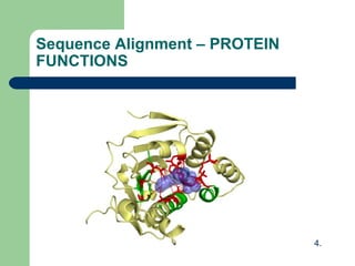Sequence Alignment – PROTEIN
FUNCTIONS
4.
 