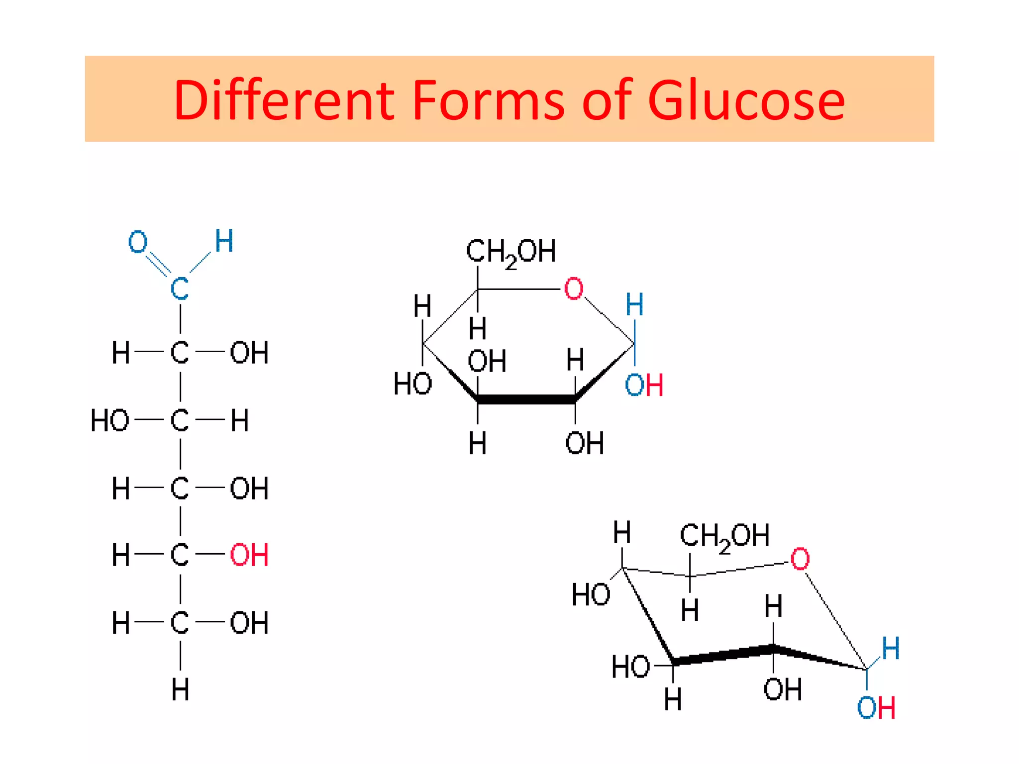 Different Forms of Glucose
 