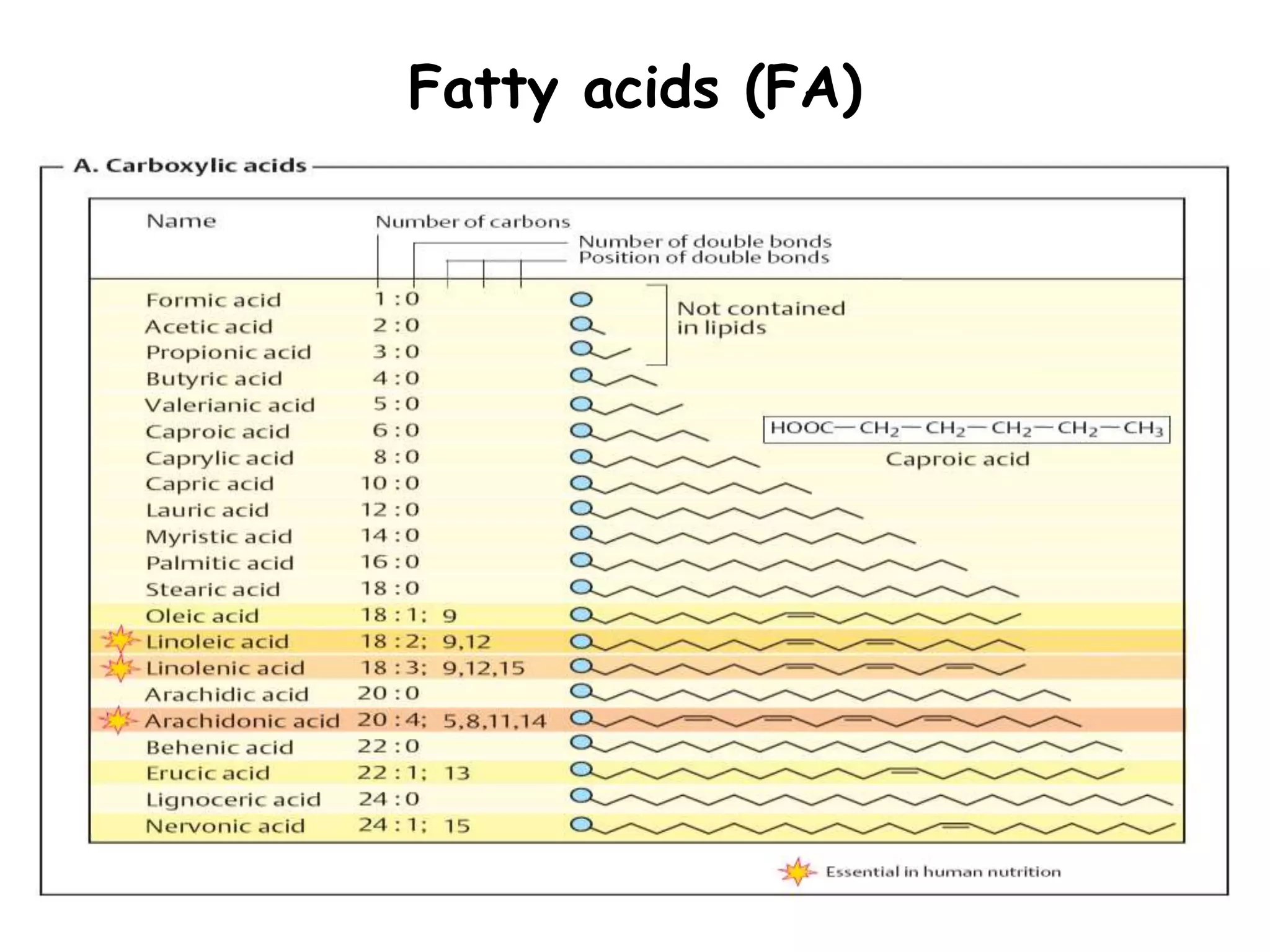Fatty acids (FA)
 