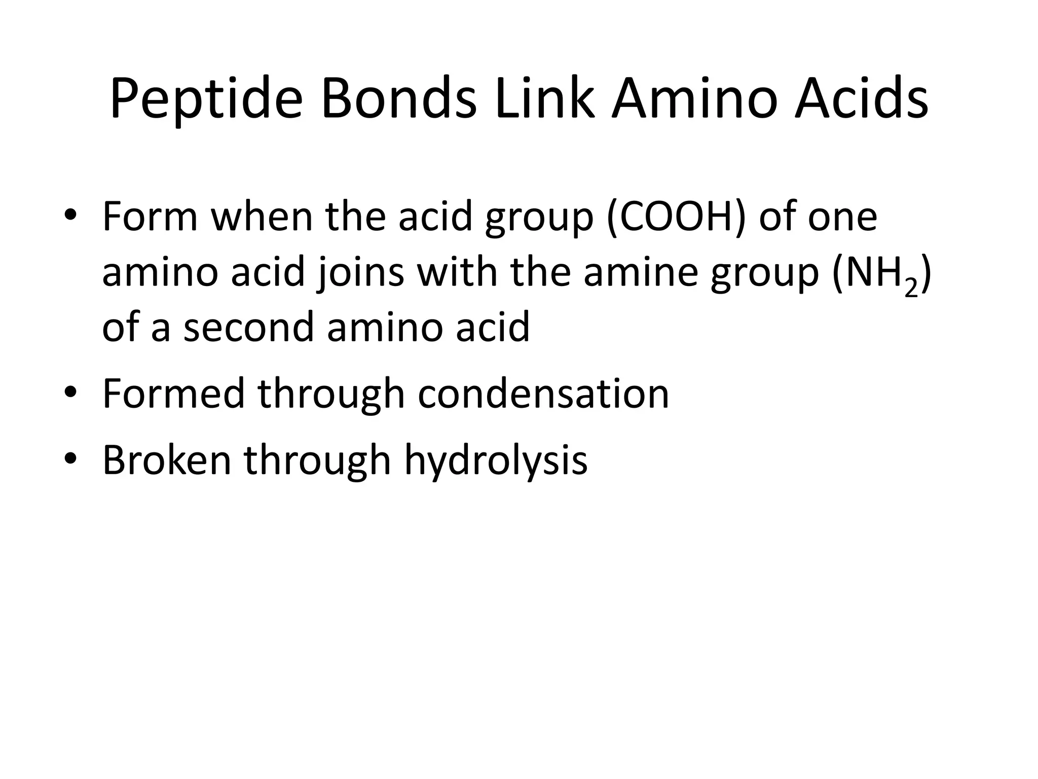 Peptide Bonds Link Amino Acids
• Form when the acid group (COOH) of one
amino acid joins with the amine group (NH2)
of a second amino acid
• Formed through condensation
• Broken through hydrolysis
 