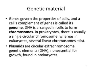 Branches of Microbiology
• Bacteriology: study of bacteria
• Mycology: study of fungi
• Immunology: study of immunity
– Edward Jenner, UK: developed vaccination (1798)
– Metchnikoff, RU: discovered phagocytes (1884)
– Paul Ehrlich, DE: theory of immunity (1890)
• Virology: study of viruses
– Beijerinck, NE: discovered intracellular reproduction of
TMV; coined the term “virus” (1899)
6
 