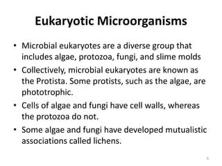 Branches of Microbiology
• Chemotherapy
– Alexander Fleming, Scotland (1928) discovered
penicillin
– Selman Waksman, Ukraine (1944) discovered
streptomycin
• Problems
– Toxicity of drugs => Selective toxicity
– Resistance of bacteria to drugs
8
 