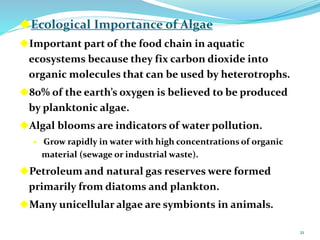 Ecological Importance of Algae
Important part of the food chain in aquatic
ecosystems because they fix carbon dioxide into
organic molecules that can be used by heterotrophs.
80% of the earth’s oxygen is believed to be produced
by planktonic algae.
Algal blooms are indicators of water pollution.
 Grow rapidly in water with high concentrations of organic
material (sewage or industrial waste).
Petroleum and natural gas reserves were formed
primarily from diatoms and plankton.
Many unicellular algae are symbionts in animals.
21
 