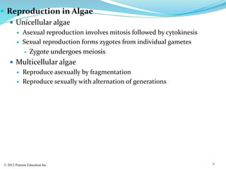  Reproduction in Algae
 Unicellular algae
 Asexual reproduction involves mitosis followed by cytokinesis
 Sexual repro...